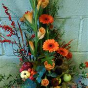 Autumn Cheer