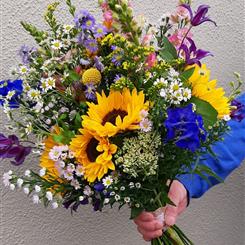 A Burst Of Colour