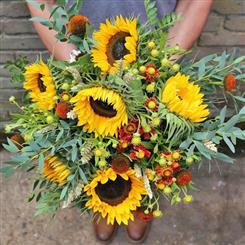 Sunflower Bouquet  