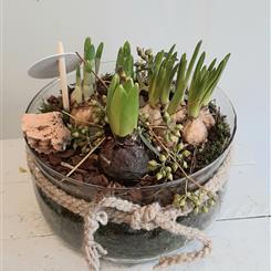 Spring Bulb Planter