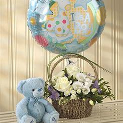 Baby Boy Bundle 