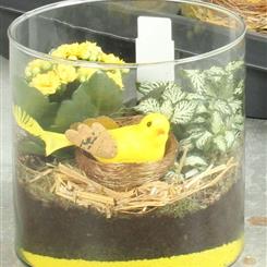 Easter plant centrepiece